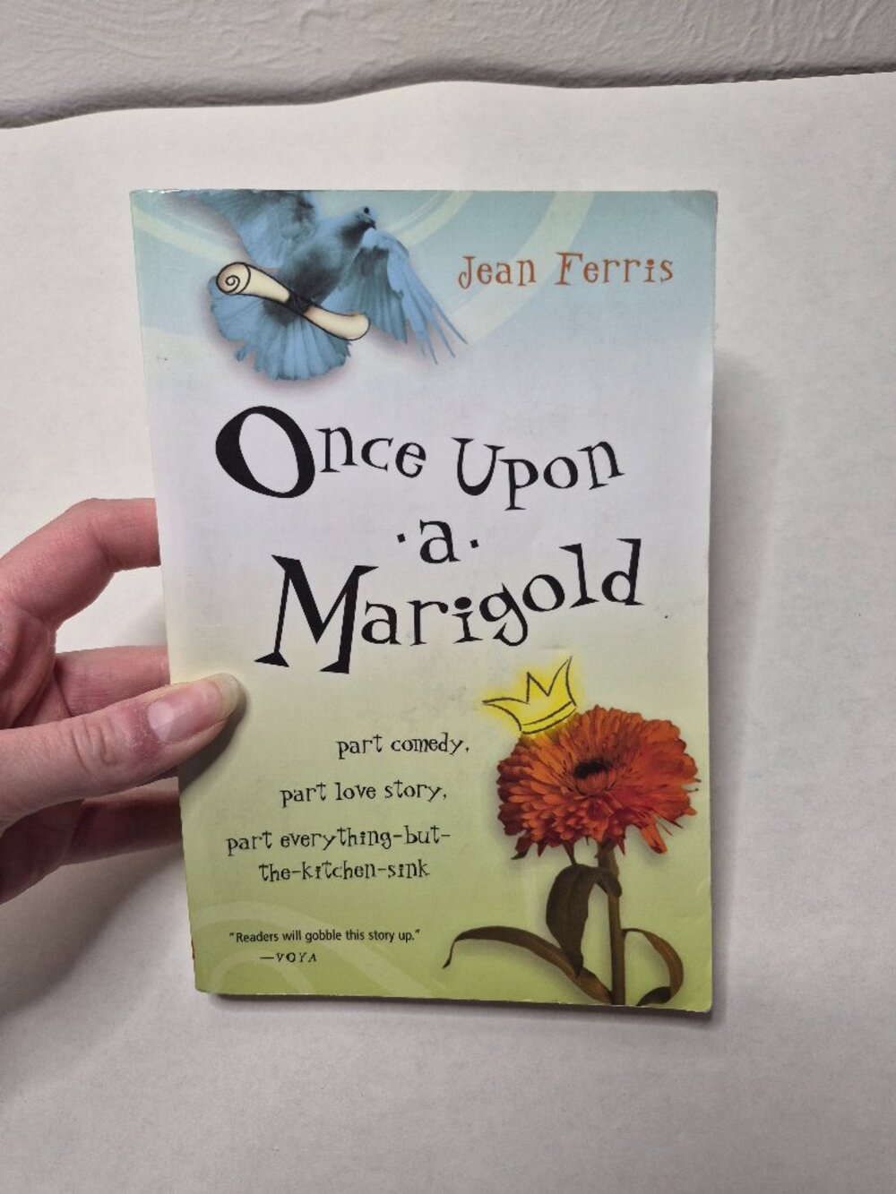 Once Upon a Marigold Jean Ferris 2004 Paperback YA Fairy Tale 9780152050849